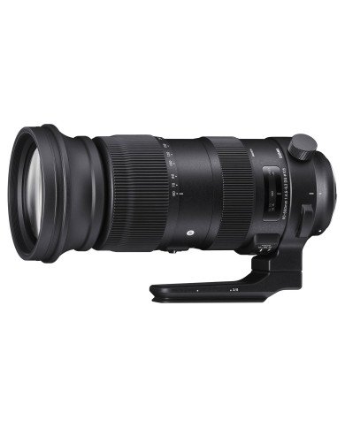 Sigma 60-600 F/4,5-6,3 DG DN OS
