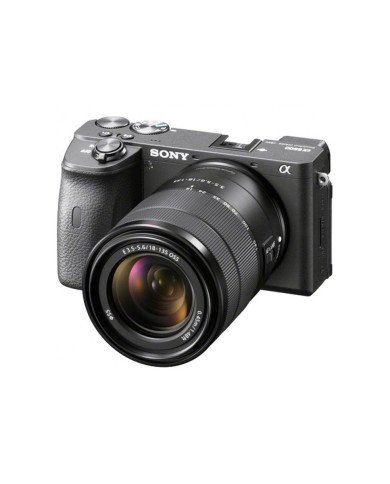 Sony α ILCE6600 (solo body)