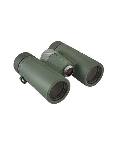 Prismáticos Kowa BD II 10x32 XD