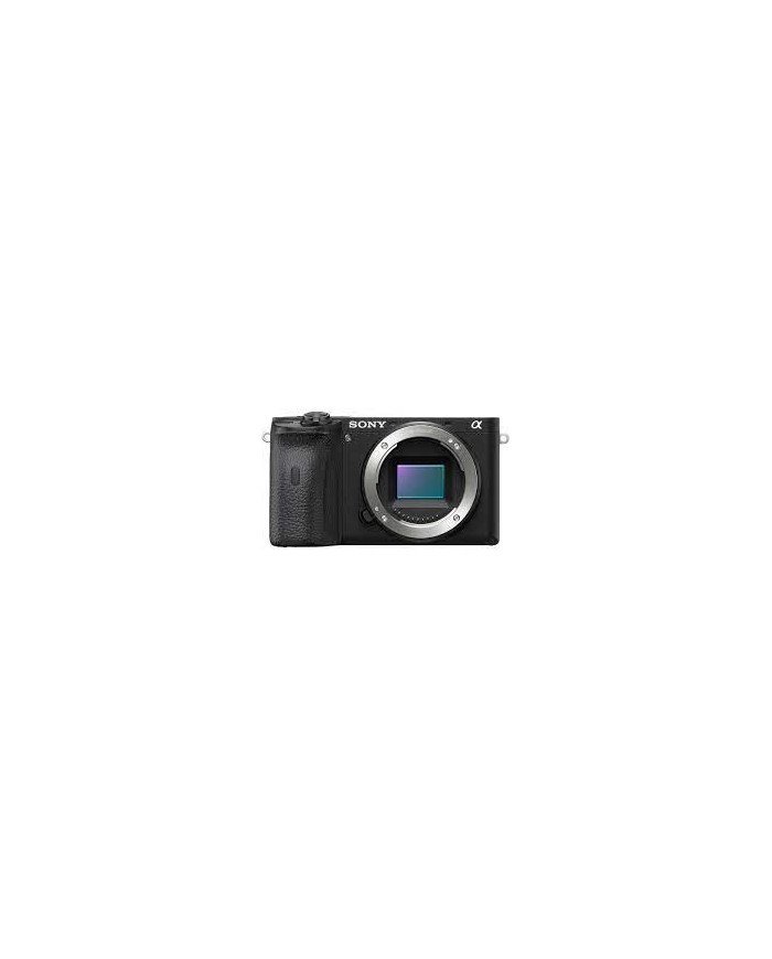 Sony α ILCE6600 (solo body)