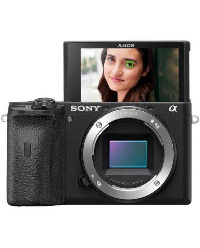 Sony α ILCE6600 (solo body)