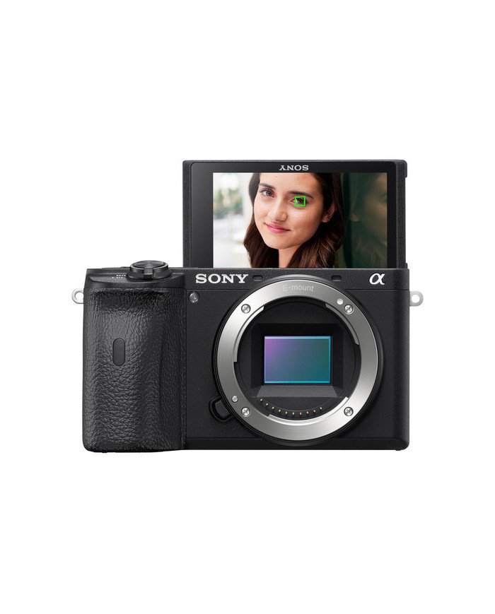 Sony α ILCE6600 (solo body)